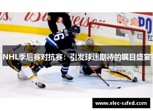 NHL季后赛对抗赛：引发球迷期待的瞩目盛宴