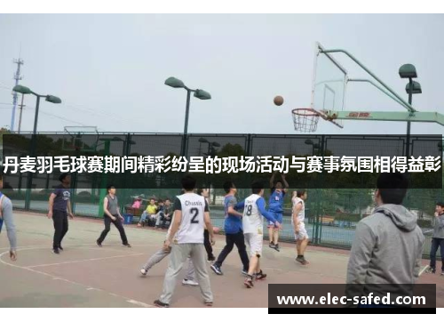 丹麦羽毛球赛期间精彩纷呈的现场活动与赛事氛围相得益彰