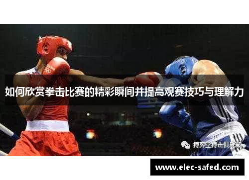 如何欣赏拳击比赛的精彩瞬间并提高观赛技巧与理解力