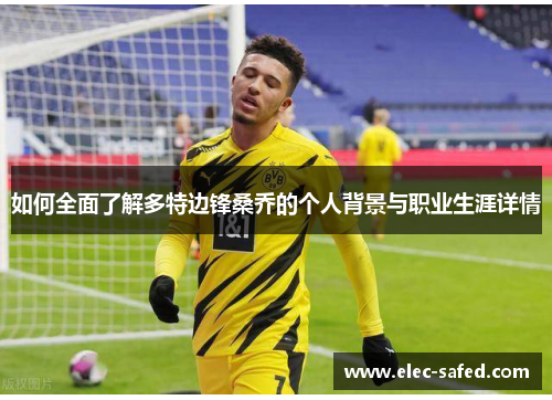 如何全面了解多特边锋桑乔的个人背景与职业生涯详情