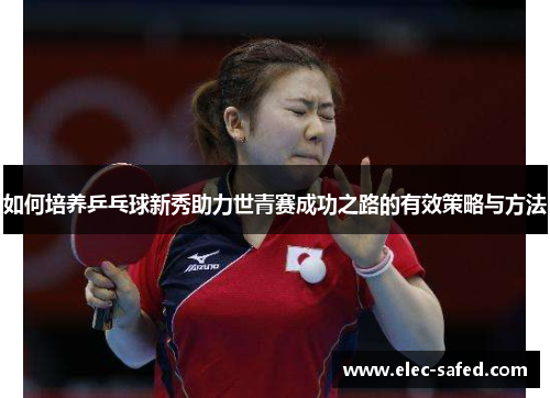 如何培养乒乓球新秀助力世青赛成功之路的有效策略与方法