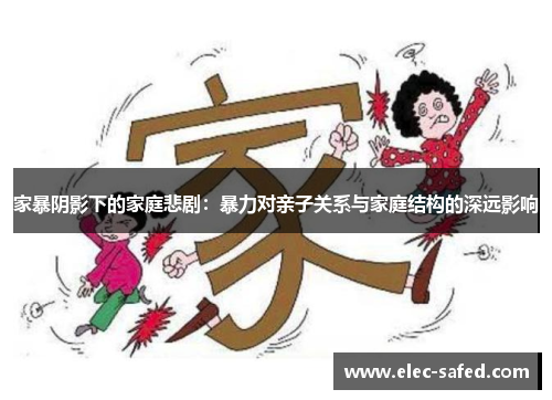 家暴阴影下的家庭悲剧：暴力对亲子关系与家庭结构的深远影响